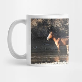 Wild Horses, Salt River, Arizona Mug